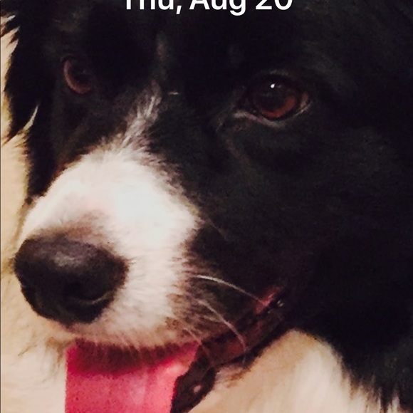 Meet your Posher, Maricarmen - Picture 1 of 1